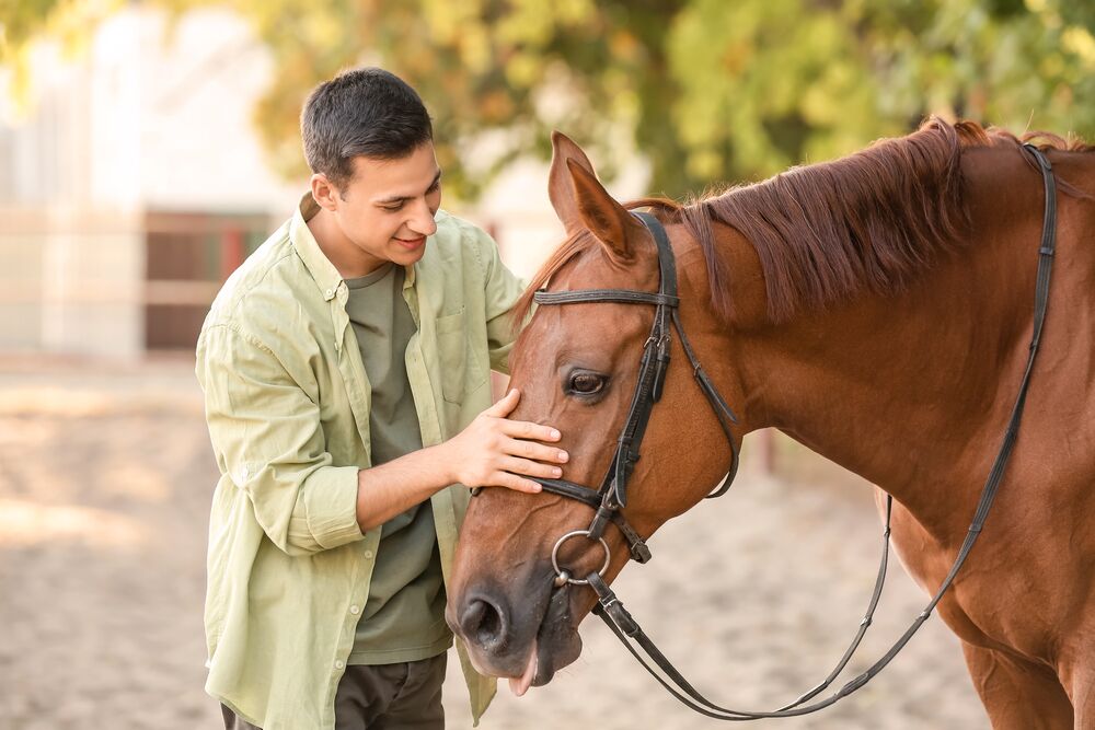 equine therapy at Transformations Mending Fences covered by lucet behavioral mental health insurance