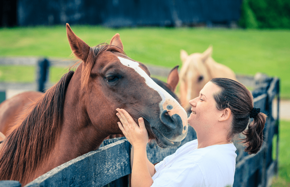 Equine assisted learning in Florida
