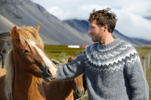 Equine assisted therapy for veterans with PTSD
